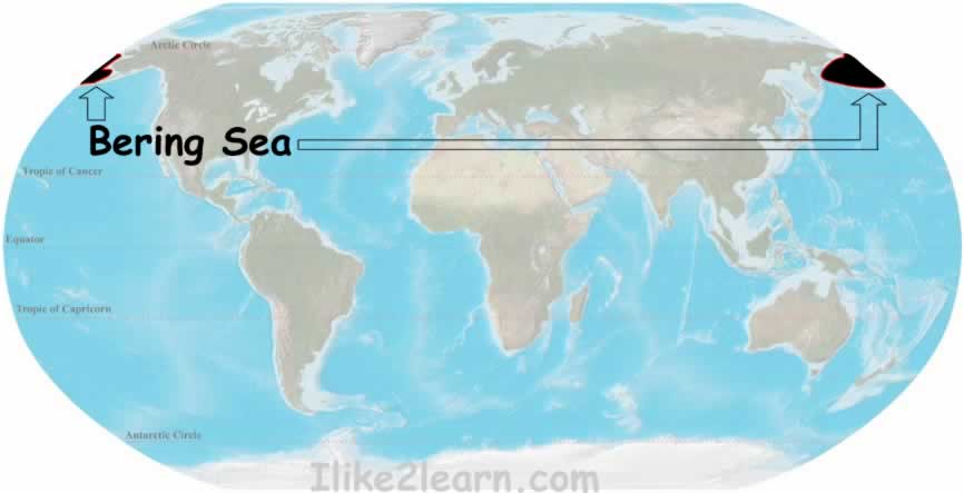 Bering Sea