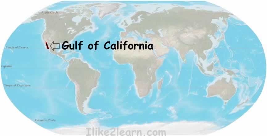 Gulf of California