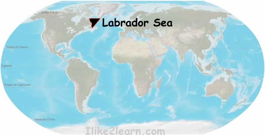 Labrador Sea
