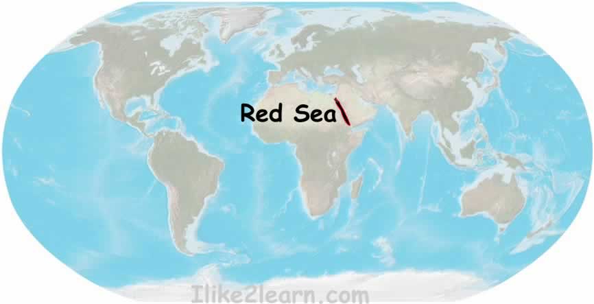 Map Of Oceans And Seas Of The World. World Oceans and Seas Map