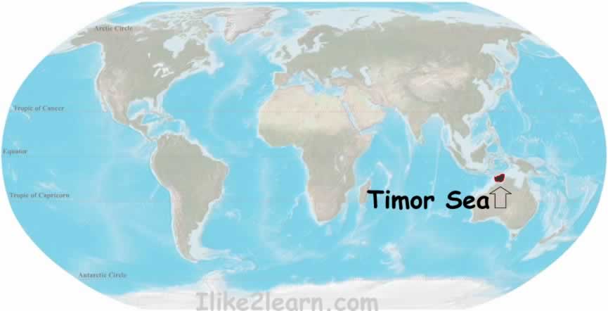 Timor Sea